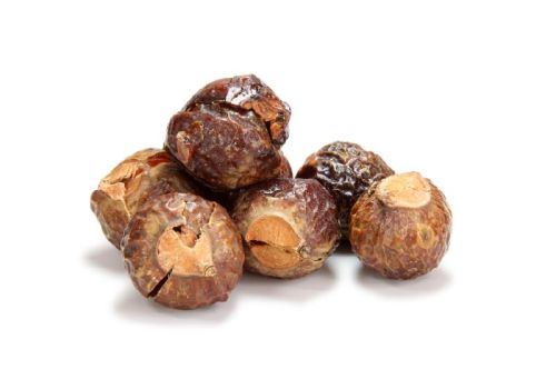 Soap Nuts