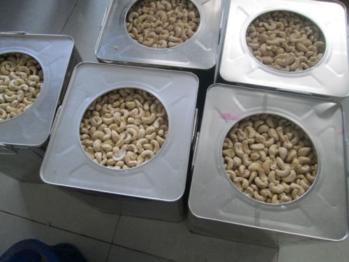 Cashew Nuts, Packaging Type : 20ft FCL