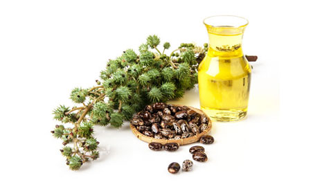 Castor Oil