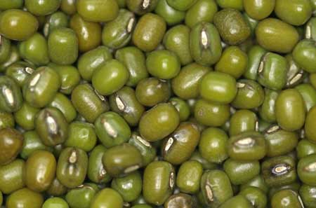 Green gram, Cultivation Type : Organic