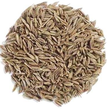 Cumin seeds, Shelf Life :1 Year