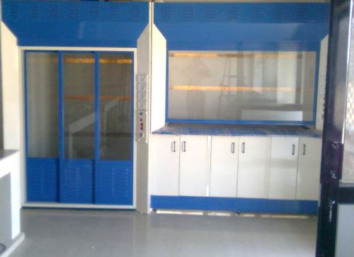 Rectangular Polished Metal Walk In Fume Hood, For Laboratory Use, Size : 10ft, 6ft, 8ft