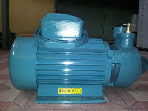 Export Pumps Monoblock
