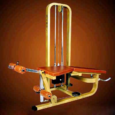 Leg Curl, Leg Extension