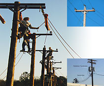 Erection Service In Distribution Line