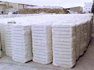 F.P. Cotton Bales