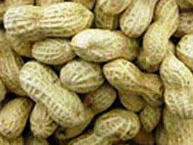 Groundnuts
