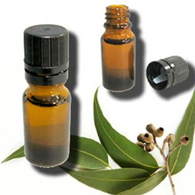 Eucalyptus Oil