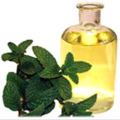 Mentha Crude Oil