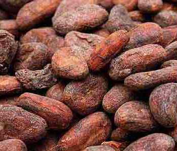African Cocoa Beans