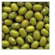 Mung Beans