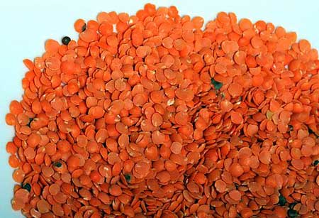 Red Lentils