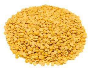 Yellow Lentils