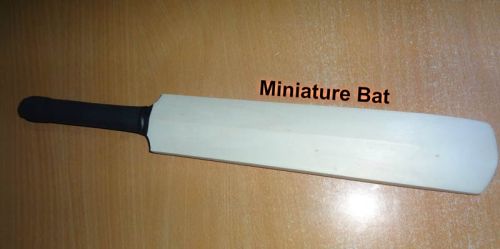 Miniature Bat
