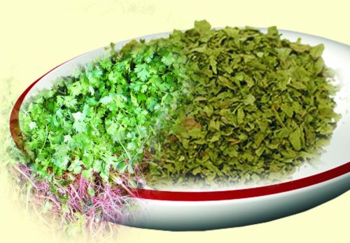 Coriander Leaves, Coriander Powder