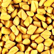 Fenugreek Seeds