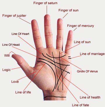 Palmistry Services