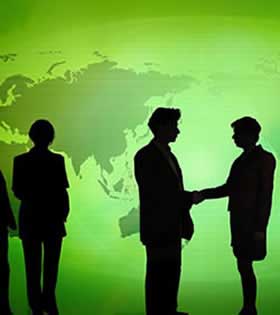 Office Automation Services