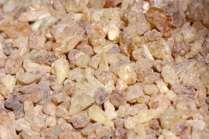 Boswellia Serrate Extracts