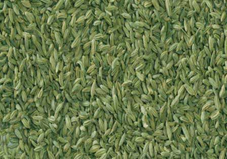 Fennel seeds, Flavor : Sweet, Aromatic