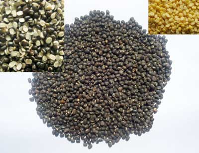 Urad Dal