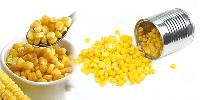 Sweet Corn Kernels, Packaging Size : 1Kg, 2Kg