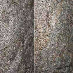 Supra Gold Stone Veneer