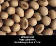 Soybean Seed