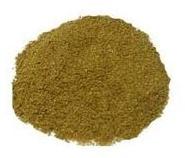 Coriander Powder