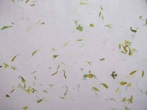 Fancy Coloured Papers 03