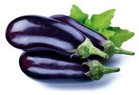 Fresh Brinjal, Packaging Size : 20kg