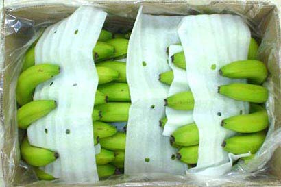 Organic Fresh Green Banana, For Food, Juice, Feature : Absolutely Delicious, Easily Affordable, Healthy Nutritious