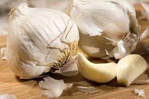 Organic Fresh Garlic, Style : Solid