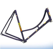 Bicycle Frame - Philips