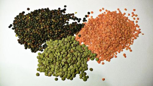 Brown Lentil