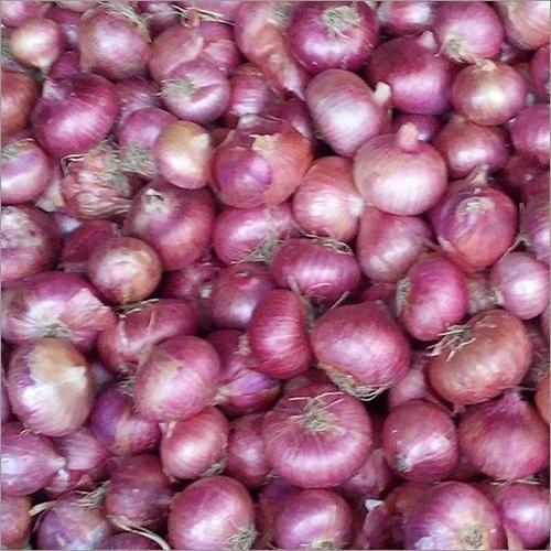 Fresh Pink Onion