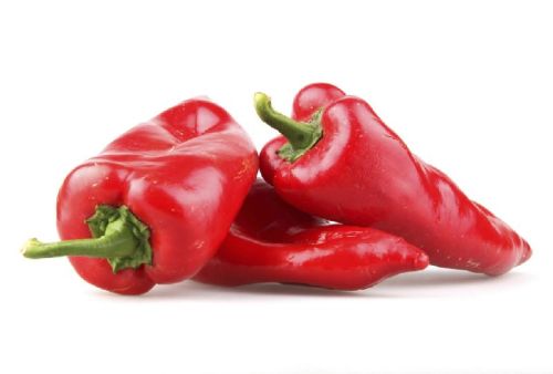 Fresh Paprika Oleoresin