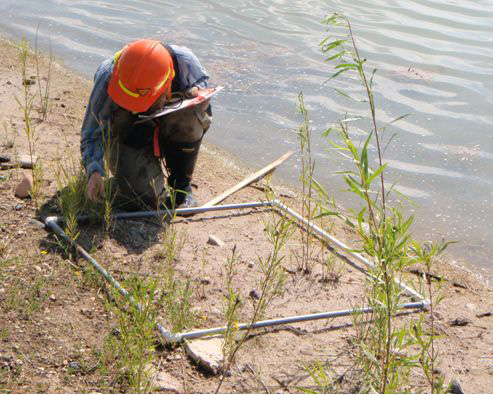 Environmental Management & Consultancy Services