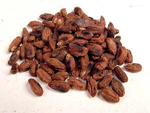 Neem seeds