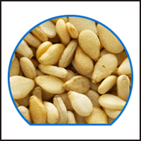 Sesame seeds, Grade Standard : Food Grade