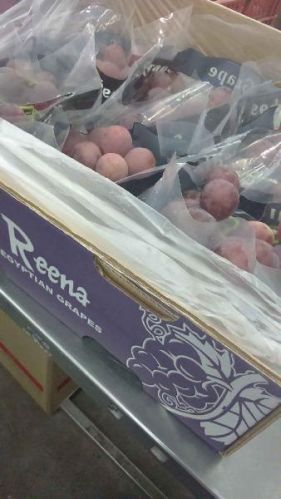 Egyptian Grapes