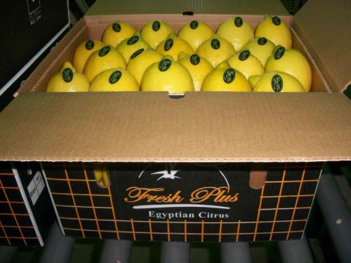 Egyptian Lemon