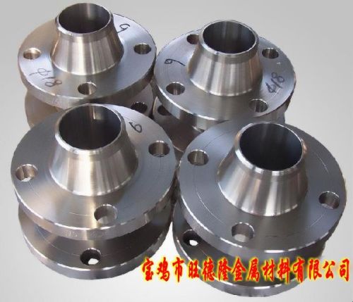 Titanium Flanges