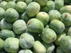 Fresh Ash Gourd