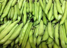 Fresh Broad Beans