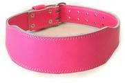 Womens Weight Lifting Belts