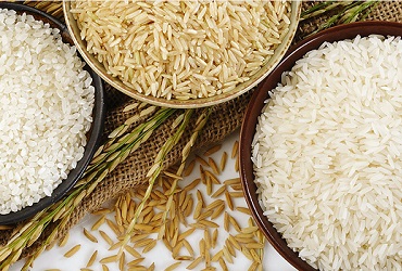 Hard Organic Long Grain Rice