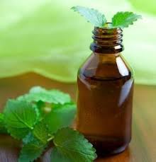 Himalayan Mint Essential Oil, For Health Problem, Packaging Type : Drums, Glass Bottles