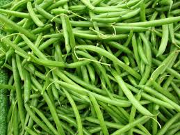 FRESH ORGANIC FRENCH BEANS