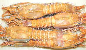 FROZEN DEEP SEA LOBSTERS